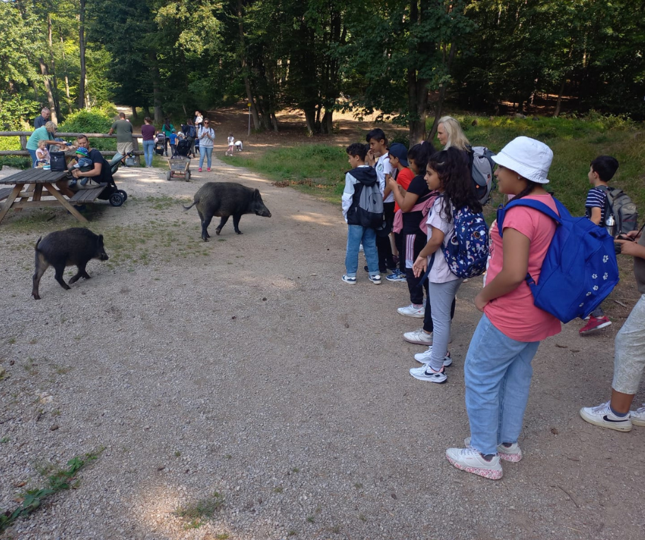 Wildtiere und Natur bestaunen im Naturpark Sparbach