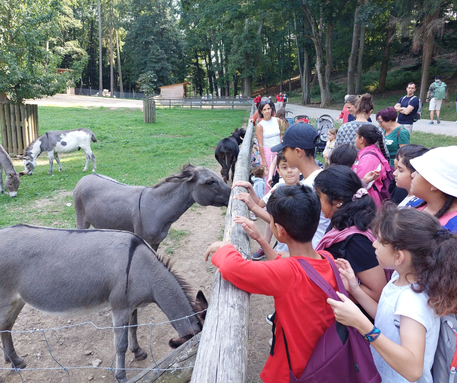 Wildtiere und Natur bestaunen im Naturpark Sparbach